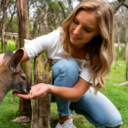 Penguin Parade + Moonlit Sanctuary Wildlife Park: Day Trip from Melbourne 2