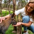 Fille nourrissant un wallaby