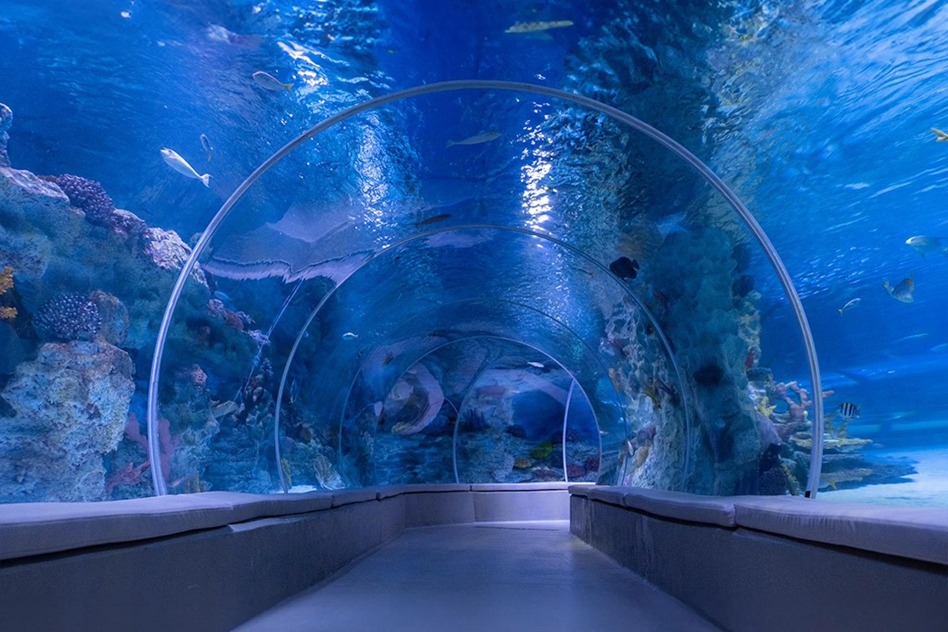 Emaar Aquarium & Underwater Zoo