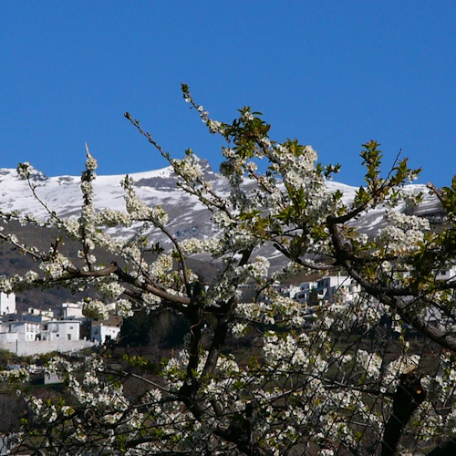 Alpujarra: Excursão de um dia + almoço opcional - Photo 4