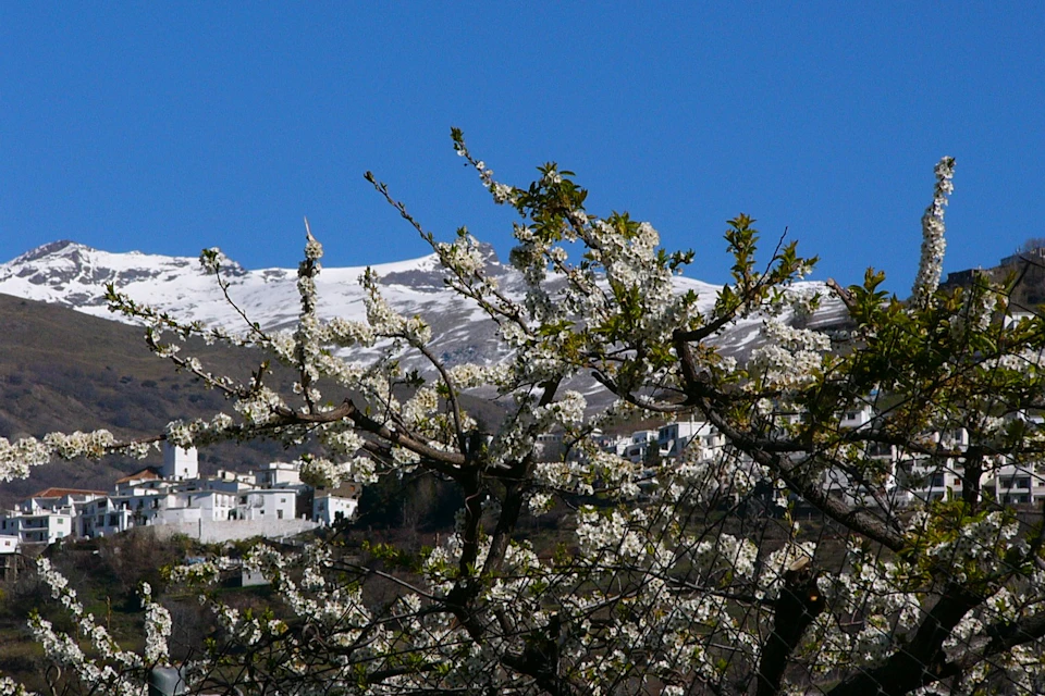 Lanjaron from its outskirts
