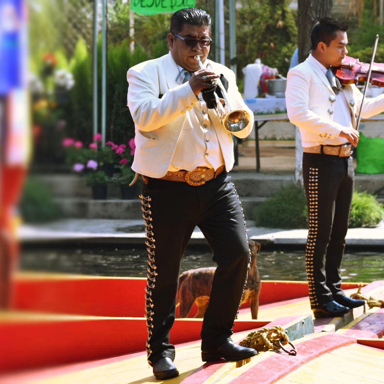 Slider Image