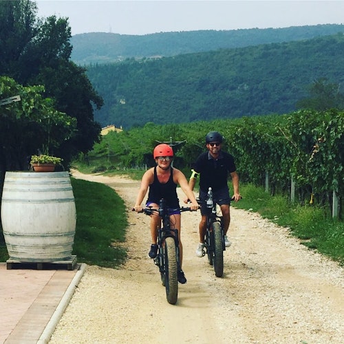 Viñedos de Valpolicella: Tour en bicicleta eléctrica con cata de vinos