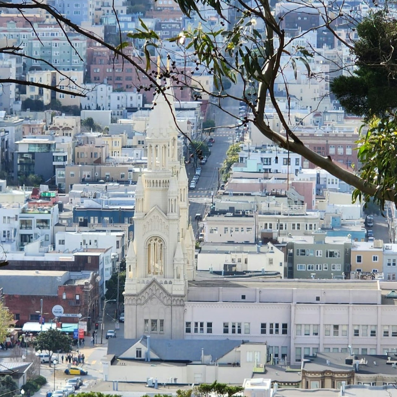 Visita matinal a la ciudad de San Francisco - Alojamientos en San Francisco