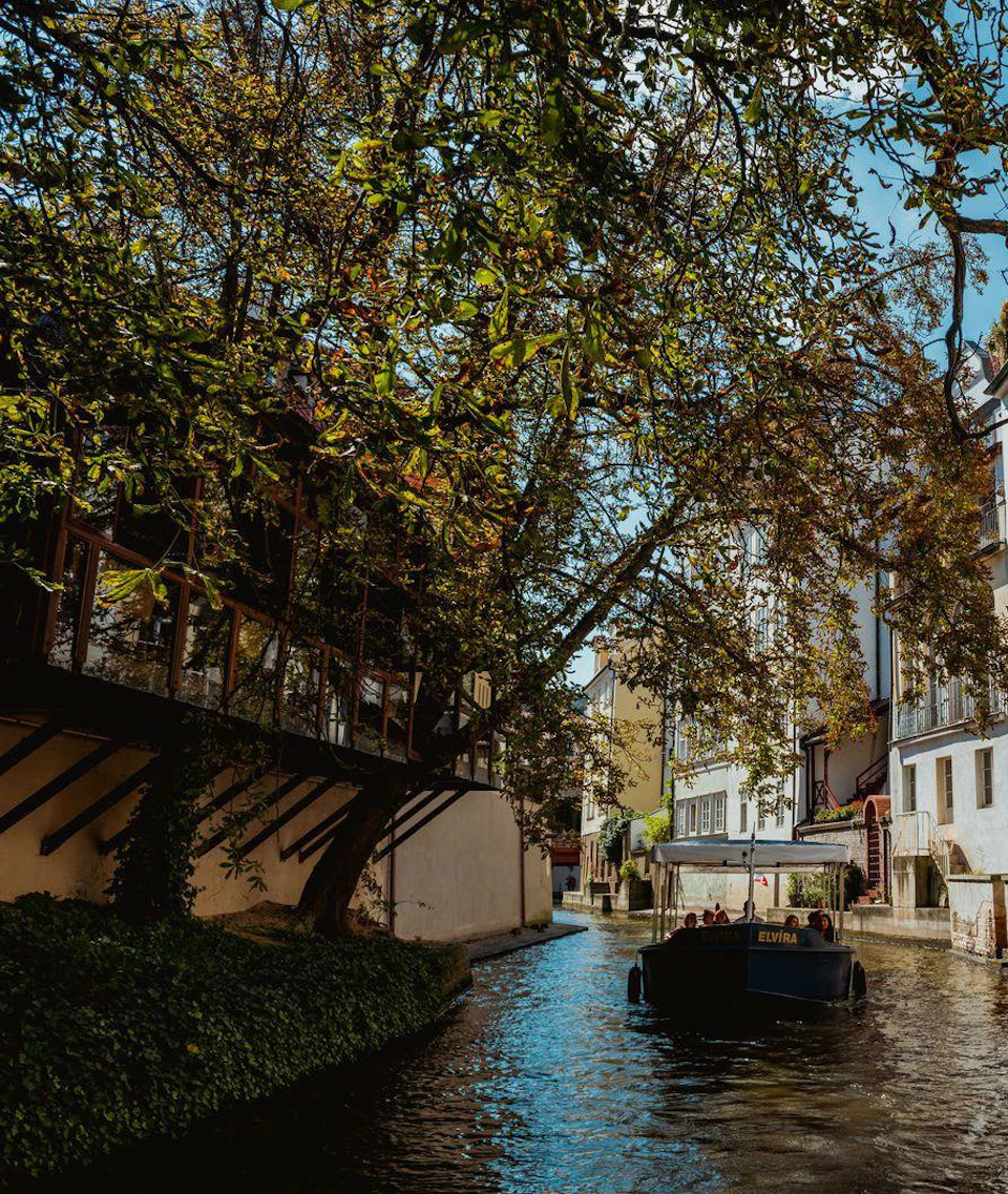 A small boat with people aboard navigates a narrow canal lined with buildings and overhanging trees on a sunny day.