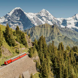 Schynige Platte: Roundtrip Rack Railroad From Wilderswil