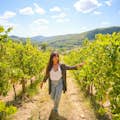 Vineyards of Chianti