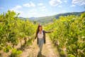 Wijngaarden van Chianti