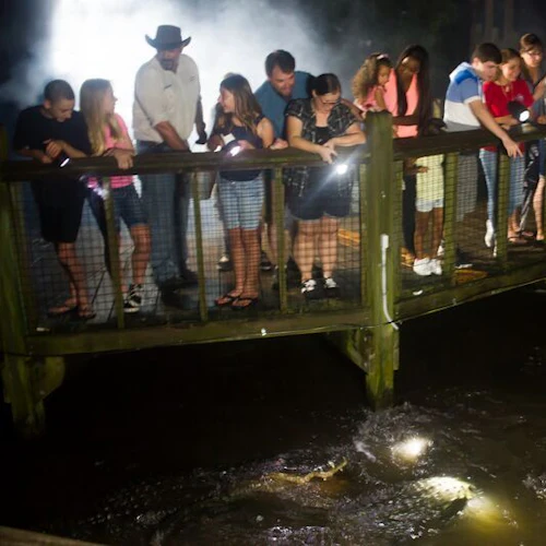 Gatorland Orlando: Gator Night Shine - Photo 5