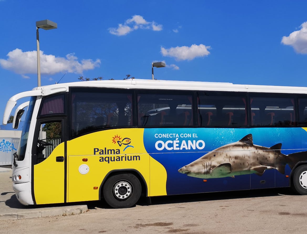 팔마 아쿠아리움 교통편 서비스