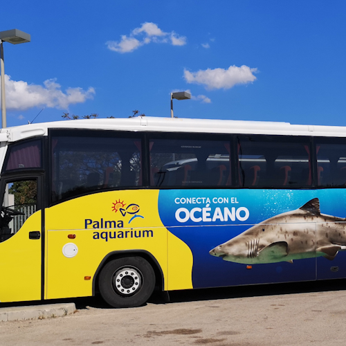 Palma Aquarium: Entrada + Traslado Llucmajor - Arenal