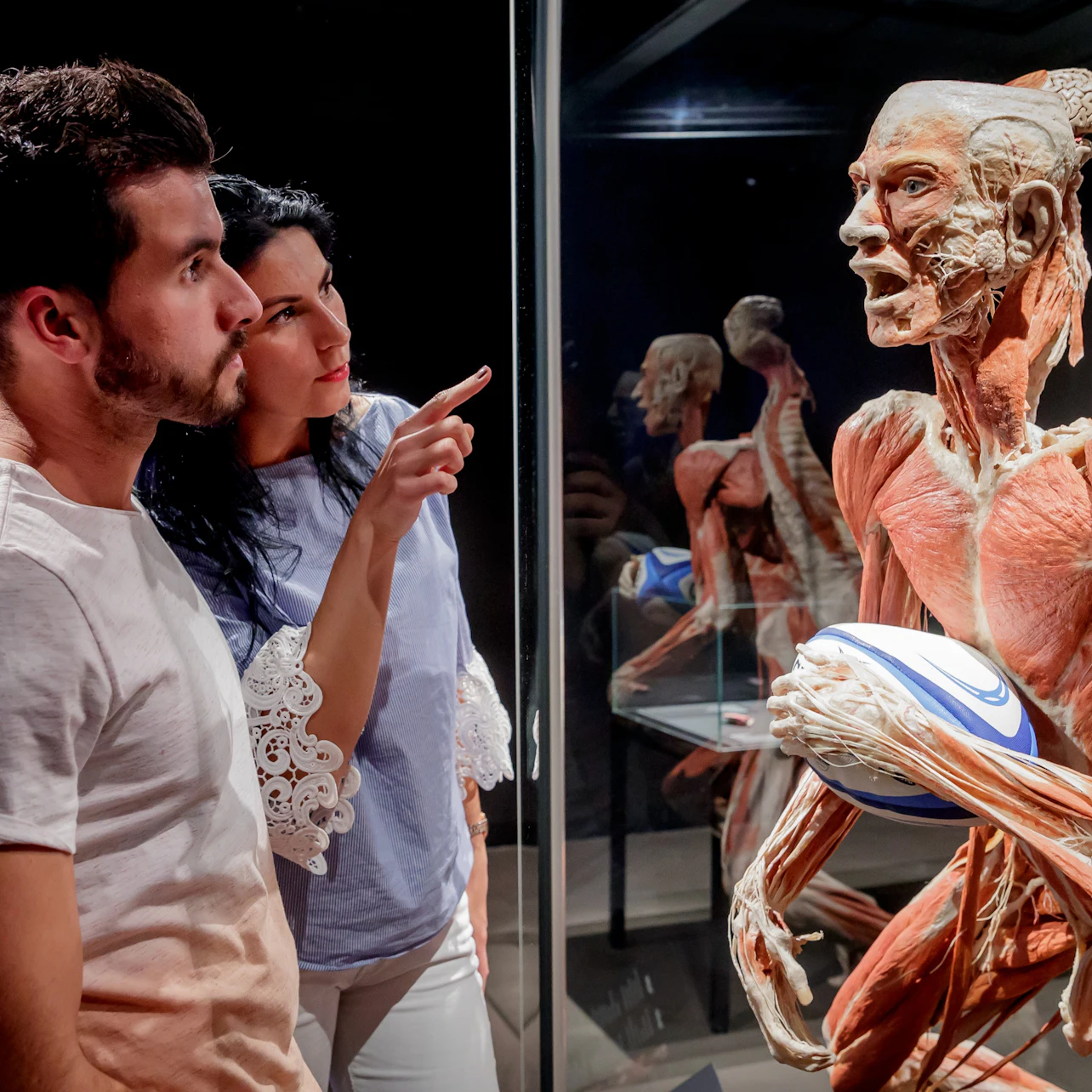 BODY WORLDS Berlin - The First Museum of BODY WORLDS in Berlin β Tiqets