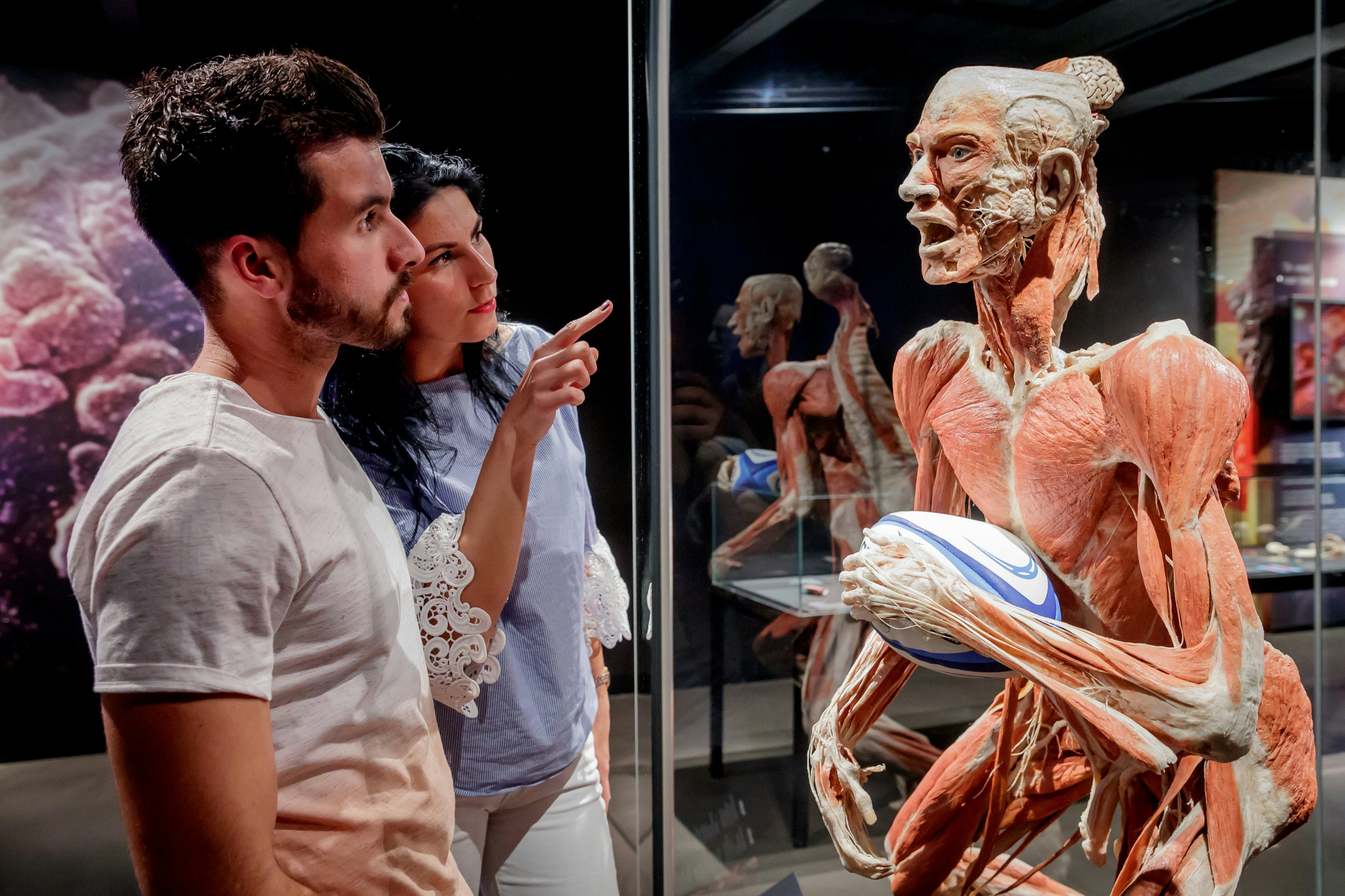 BODY WORLDS Berlin - The First Museum of BODY WORLDS