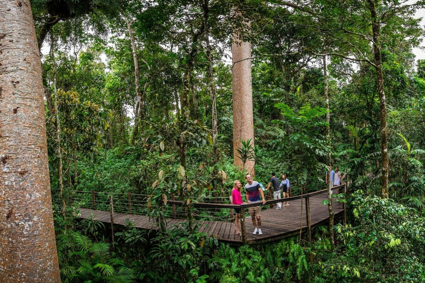 Kuranda, Scenic Rail & Skyrail: Full Day Tour from Cairns