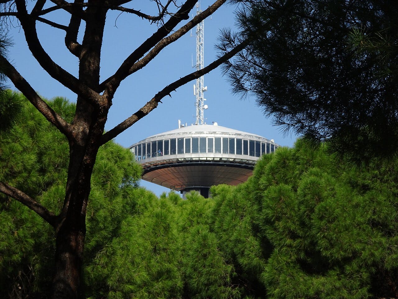 Круглая башня с антеннами, частично скрытая зелеными деревьями на фоне чистого голубого неба.