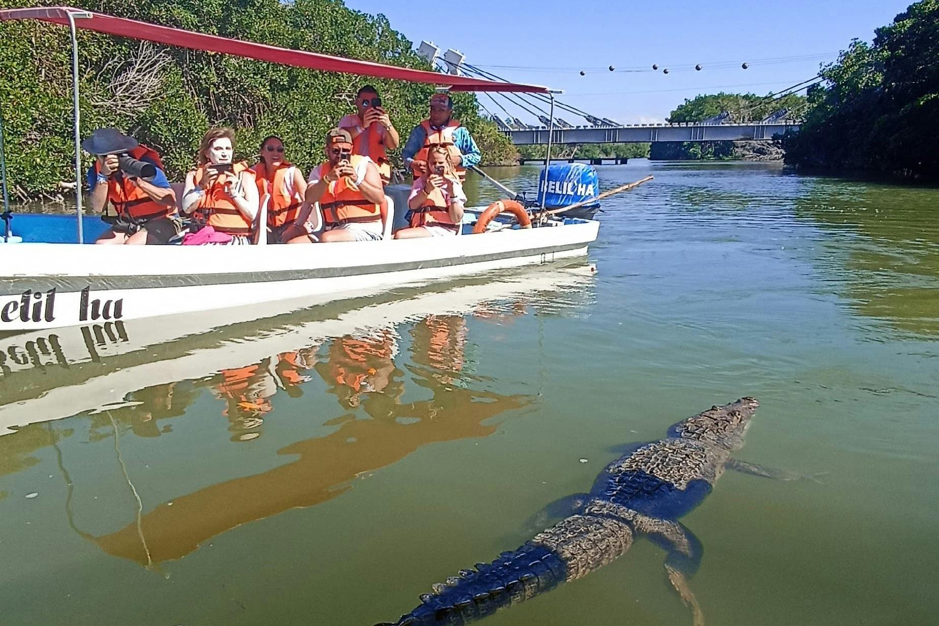 A group of people wearing life jackets on a boat watch a crocodile swimming nearby in a river.