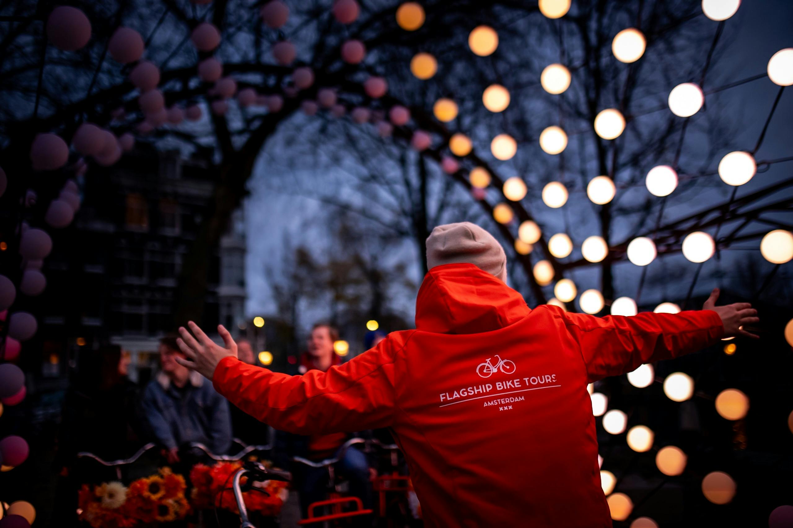 Amsterdam Light Festival: Guided Bike Tour 3
