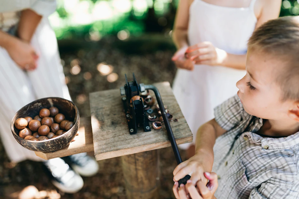 A child operates a nutcracker mounted on a wooden surface outdoors, with another person nearby holding a nut.