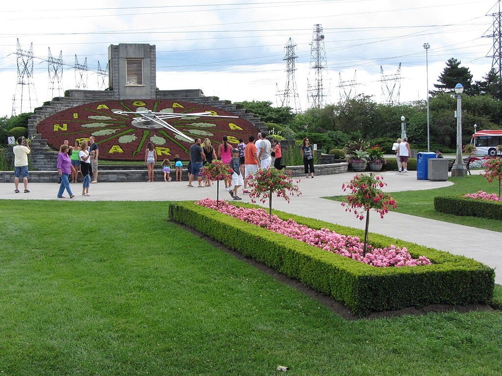 People walking near a large floral clock display in a park, with pink flowers, greenery, and power lines in the background.