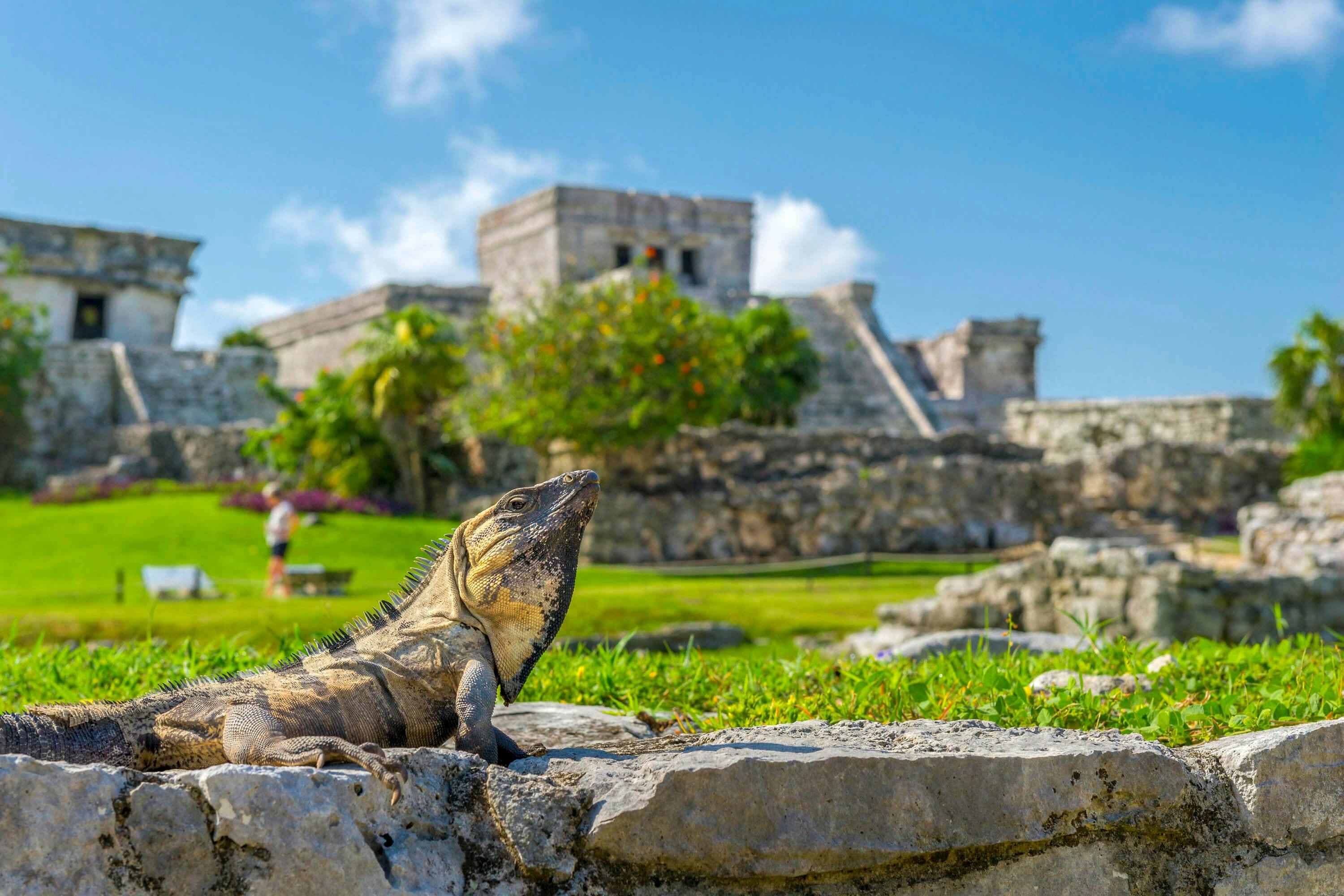 Mayan Ruins of Tulum: Audio Guide App - Photo 9