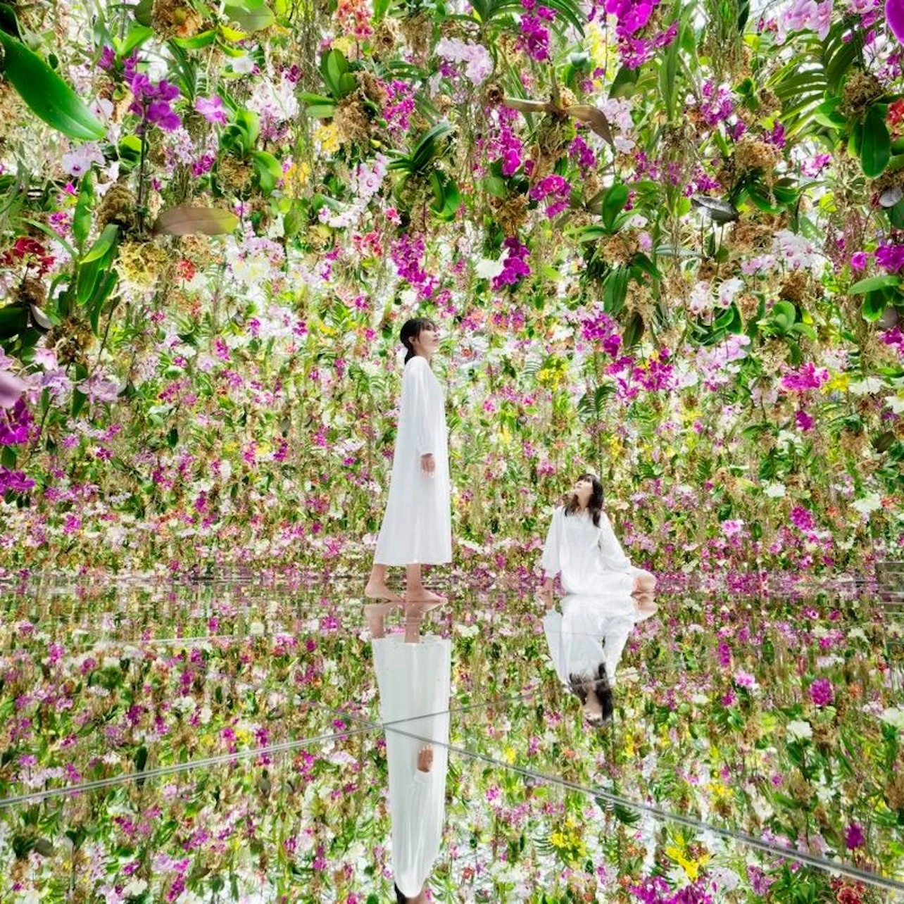 teamLab Planets Tokyo: Premium Pass in Tokyo – Tiqets