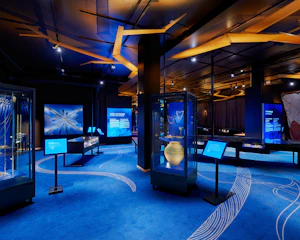 Schwedisches Geschichtsmuseum: Führung + Audioguide + Eintritt in das Wirtschaftsmuseum (Economy-Tarif)