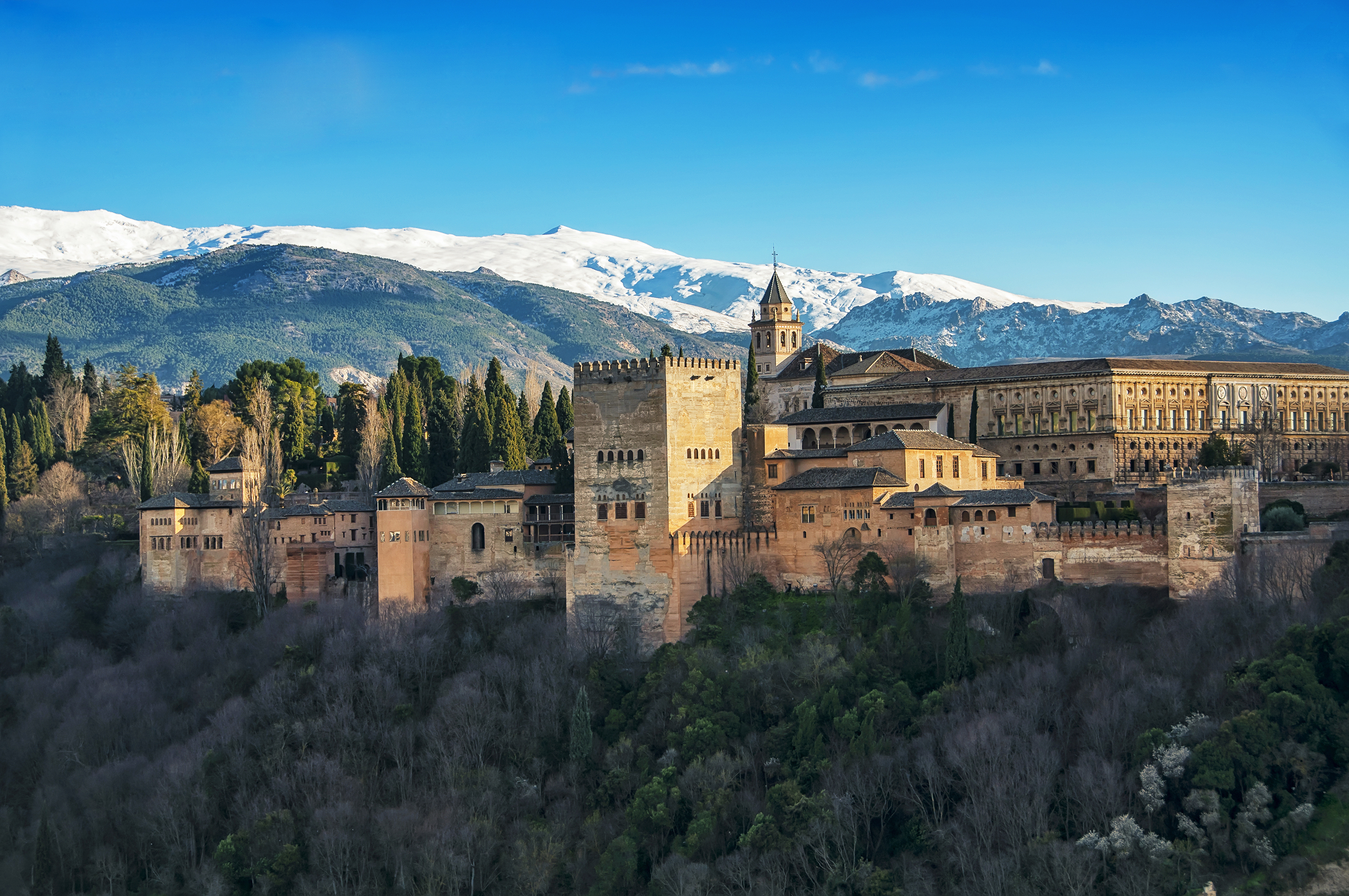 Alhambra & Nasrid Palaces: Skip The Line + Premium Guided Tour