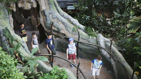 Five boys walk along a tree-like path surrounded by lush plants in an indoor jungle-themed area.
