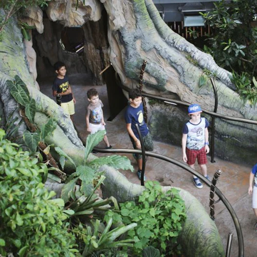 Five boys walk along a tree-like path surrounded by lush plants in an indoor jungle-themed area.