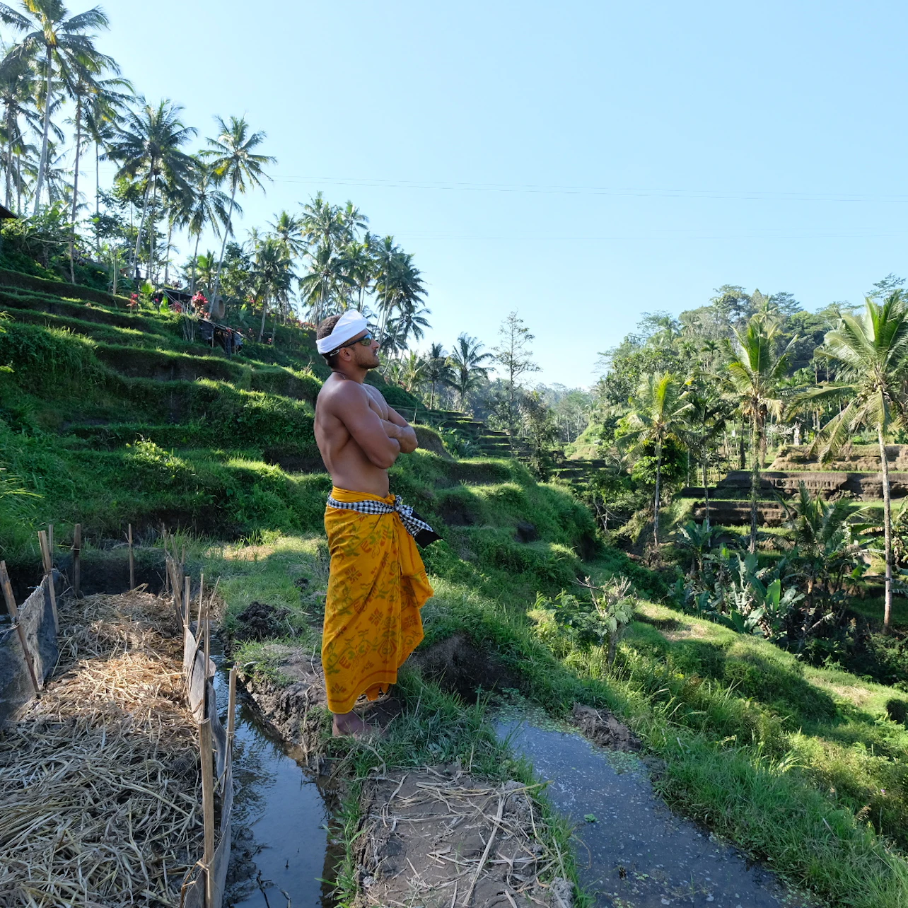 A person in traditional attire stands in a lush, terraced rice field surrounded by palm trees.