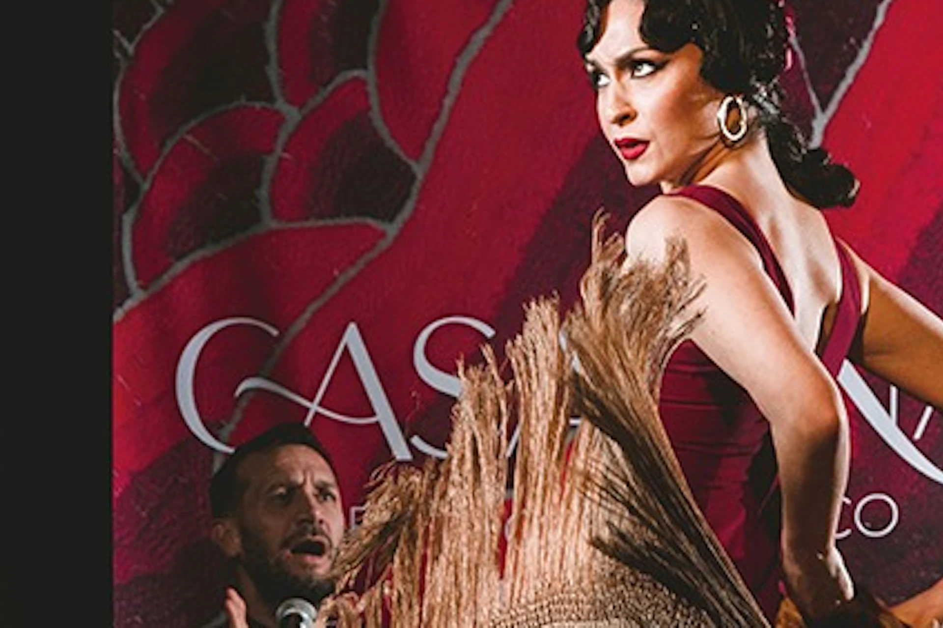 Flamenco show in Granada, flamenco show in Granada, tablao flamenco in Granada