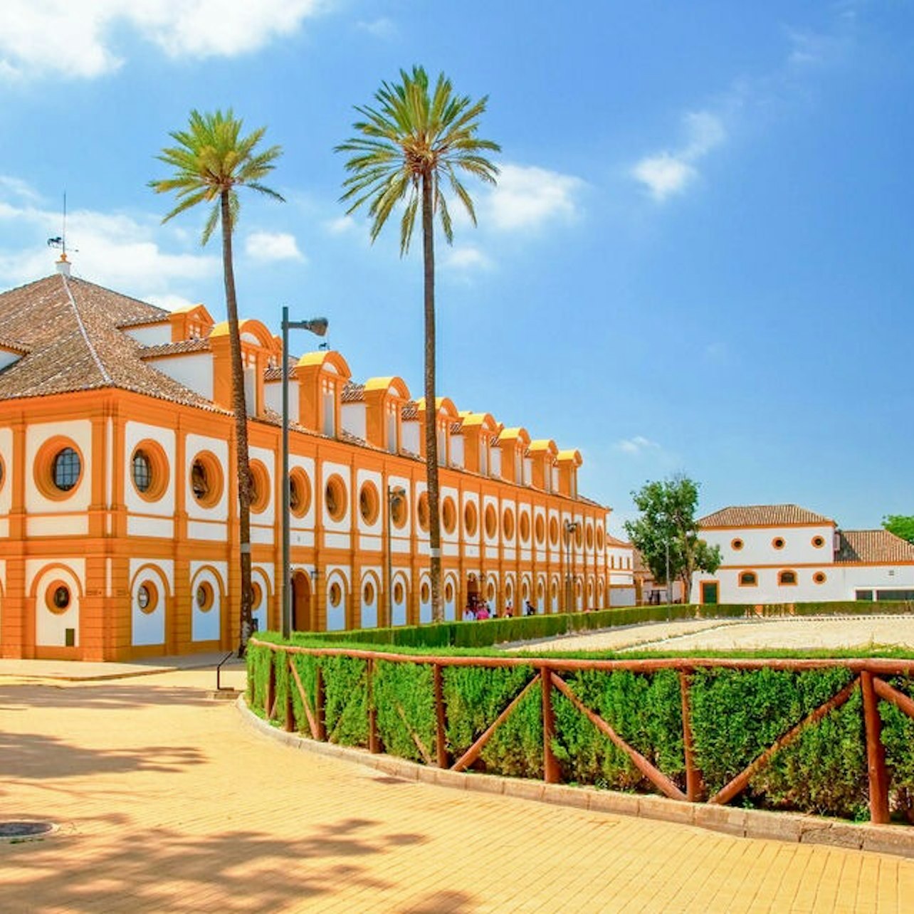 Royal Andalusian School of Equestrian Art: Andalusian Horse Show - Accommodations in Jerez de la Frontera