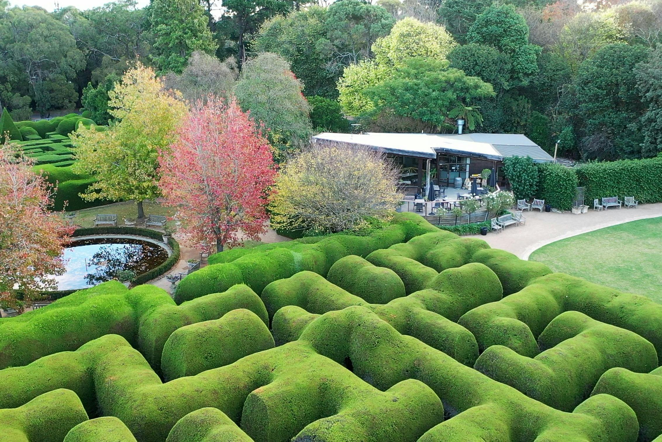 Letecký pohled na upravený živý plot, podzimní stromy, rybník a venkovní posezení vedle moderní budovy.