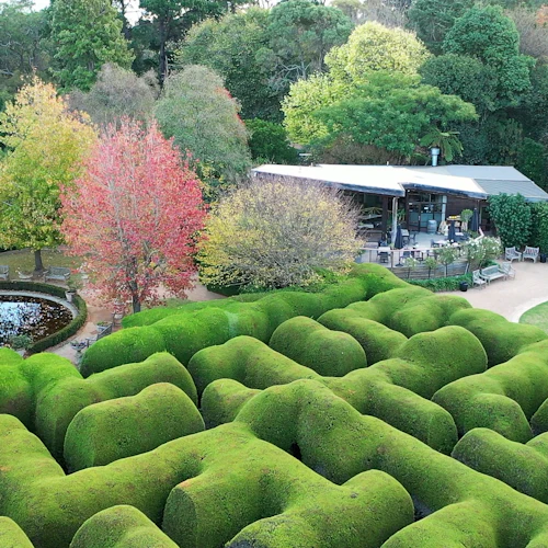 Ashcombe Maze & Lavender Gardens: Entry Ticket - Photo 2