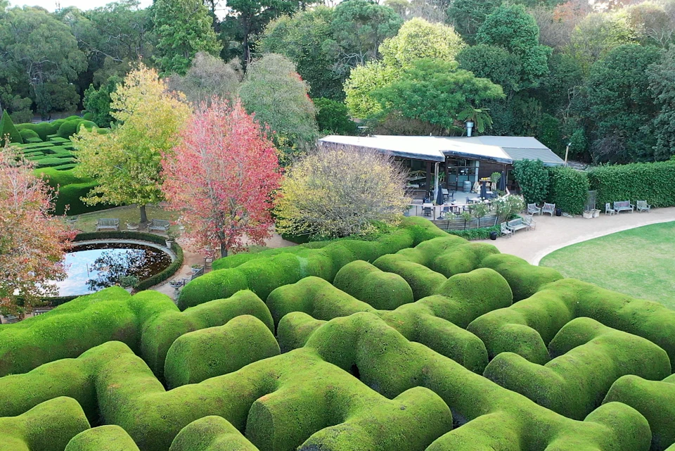 Aerial view of a manicured hedge maze, autumnal trees, a pond, and an outdoor seating area next to a modern building.