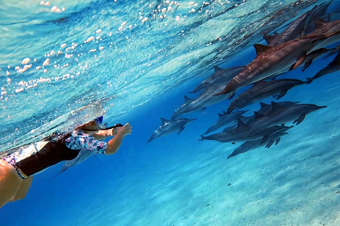 Sataya Dolphin House浮潜之旅