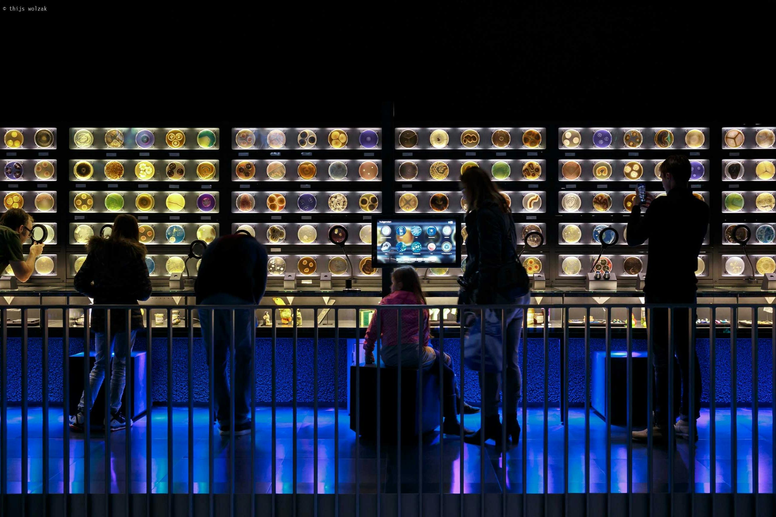 Mensen kijken naar een display met ronde voorwerpen op verlichte planken in een donkere kamer met een blauw verlichte sfeer.