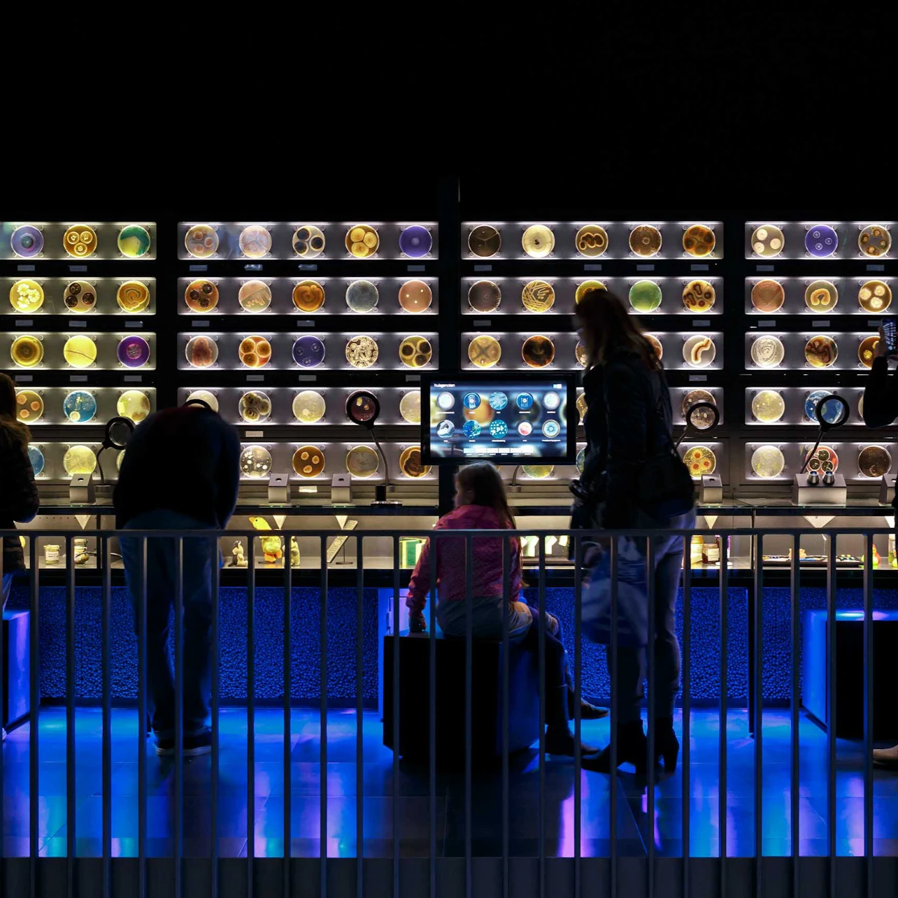 ARTIS Amsterdam Royal Zoo & Micropia: Skip The Line Entry Ticket