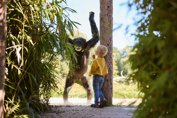 Zoo d'Eindhoven