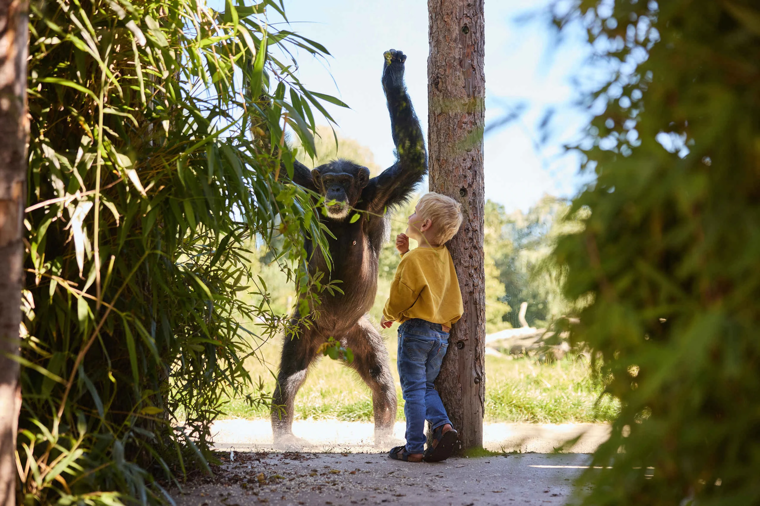 Eindhoven Zoo