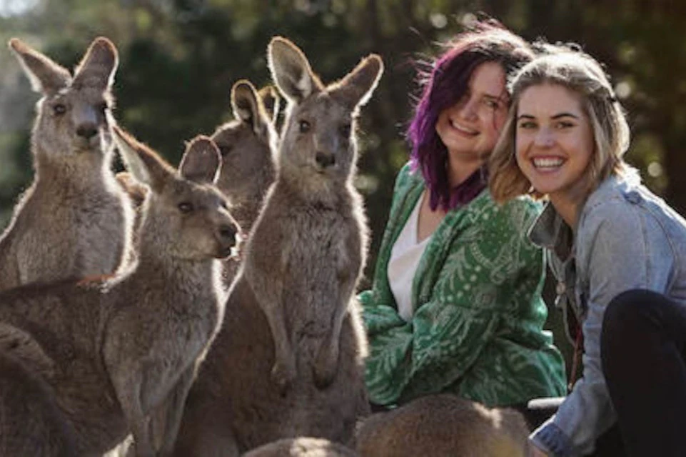 Symbio Wildlife Park: Entry Ticket