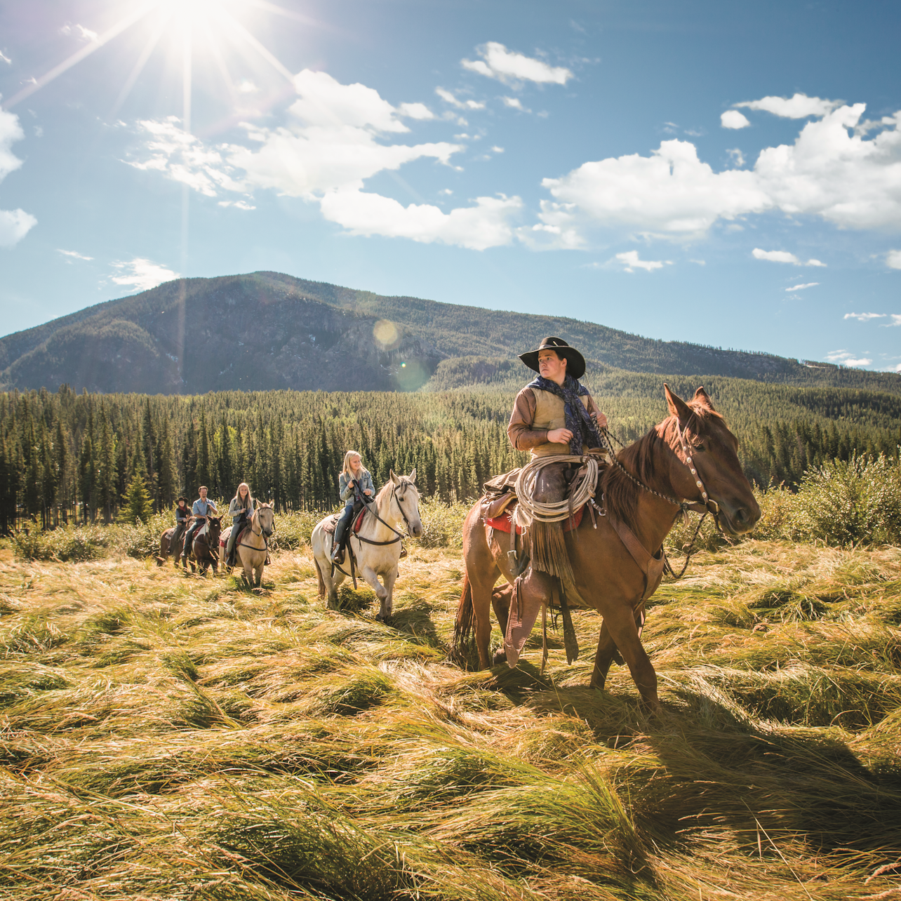 Cowboy Cookout: Wagon Ride from Banff - Accommodations in Banff