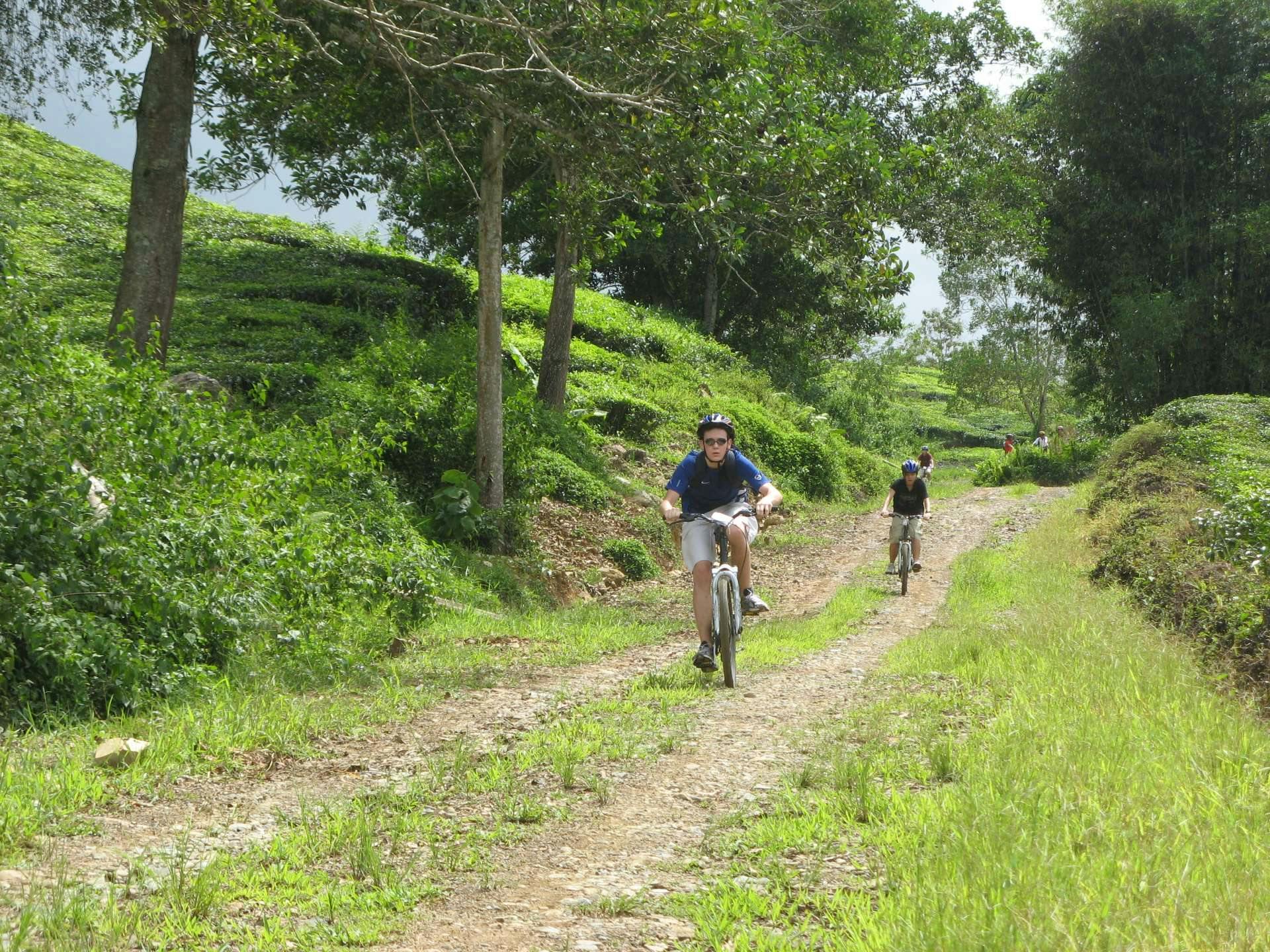 嬬恋 コレクション 自転車に靴の飾り