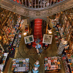 Porto: Walking Tour, Livraria Lello, River Cruise & Cable Car 5