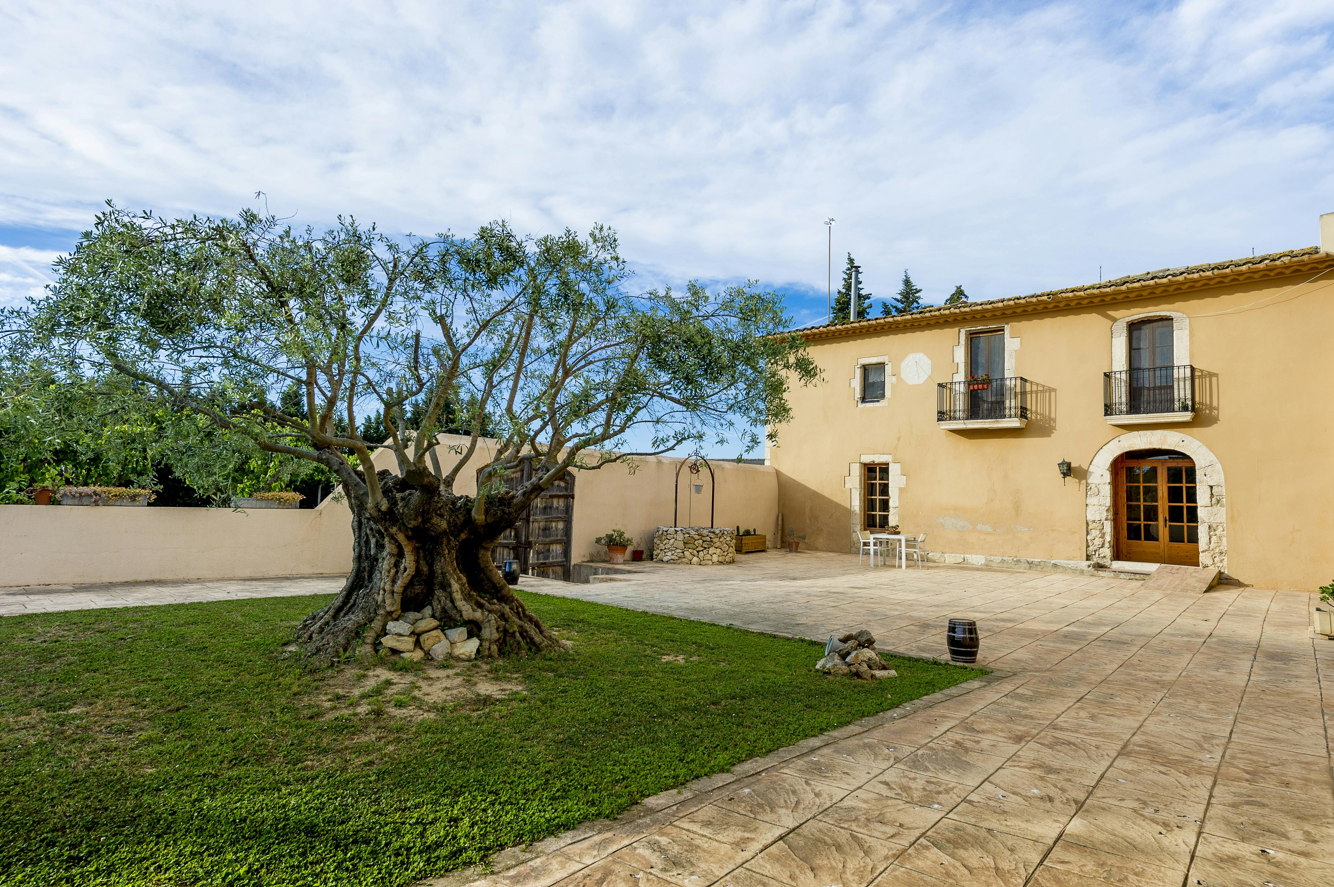 A courtyard with a large, old tree, a small green lawn, and a beige building with balconies and arched doorways.