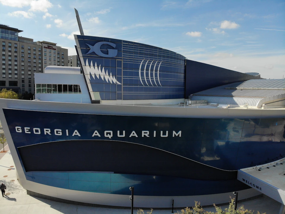 Georgia Aquarium