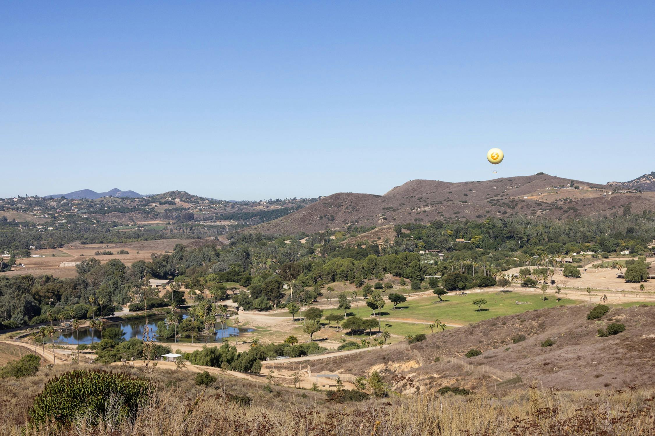 サンディエゴ動物園サファリパーク