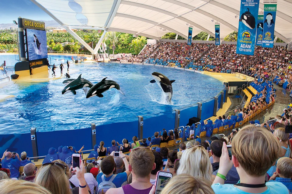 Loro Parque