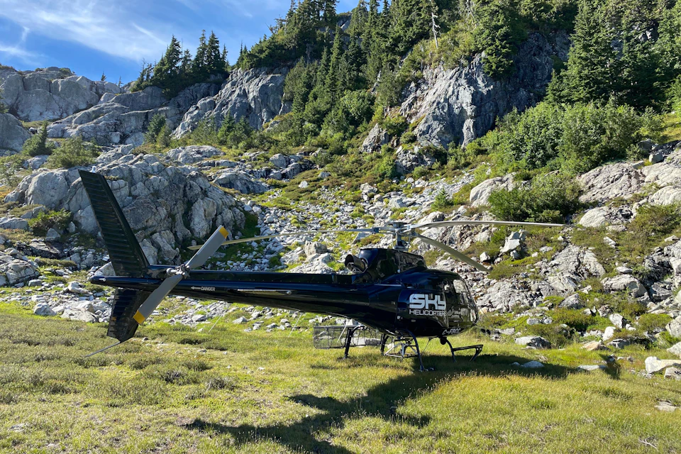 Helicopter landed in a grassy area with rocks surrounding