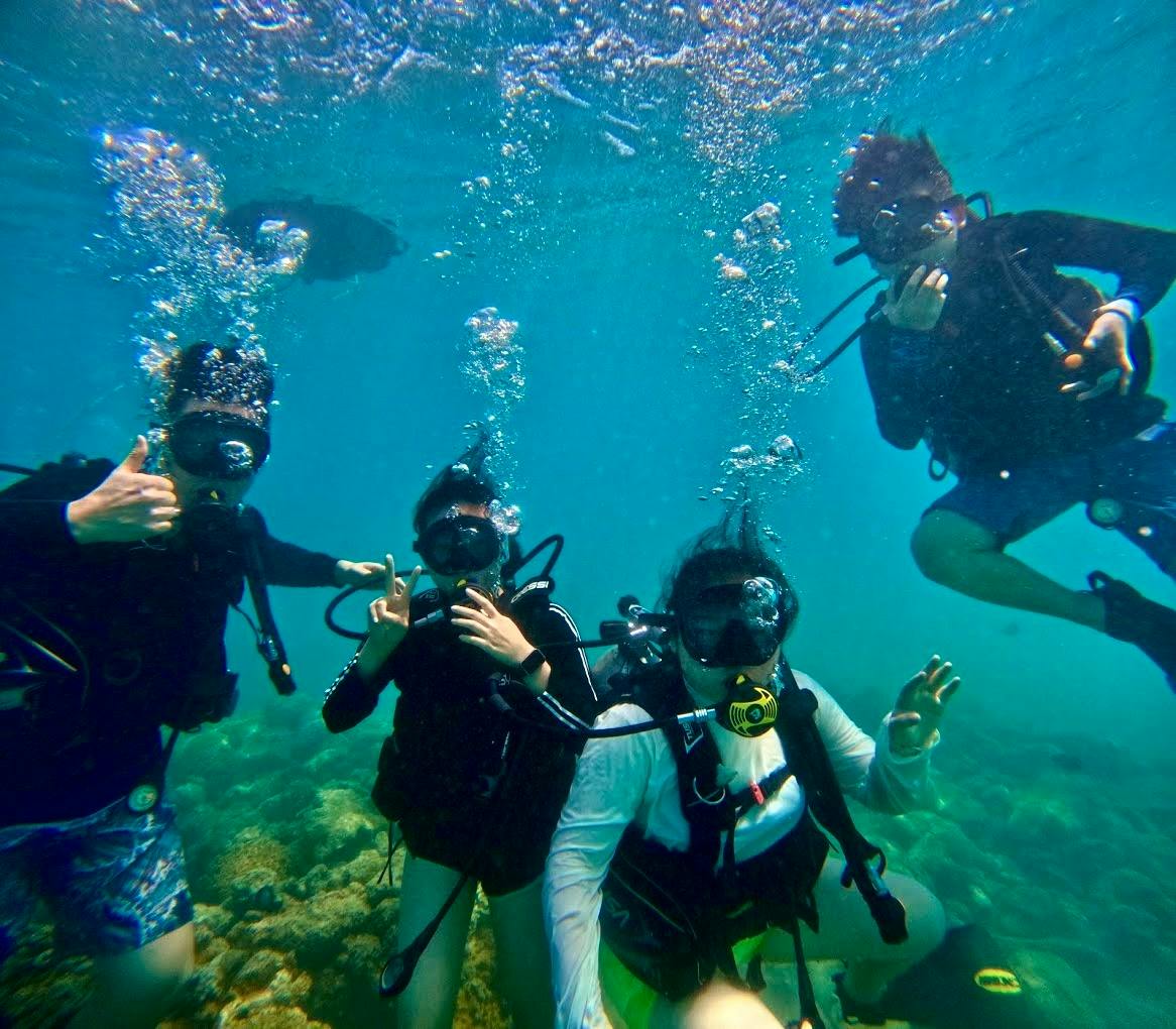 Waikiki: Excursão de mergulho para principiantes — 6